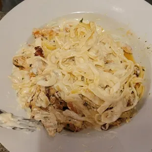Chicken Alfredo