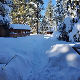 After 2 feet of snow in 24 hours. Absolutely beautiful