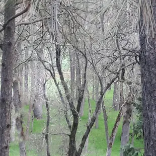 Could be a great scene for a puzzle