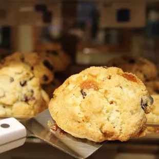 a close up of a cookie on a spatula