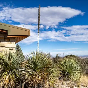 Pine Springs Visitor Center