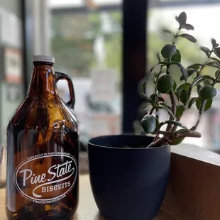 a bottle of beer next to a potted plant