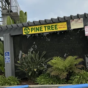 outside, ramen and noodles