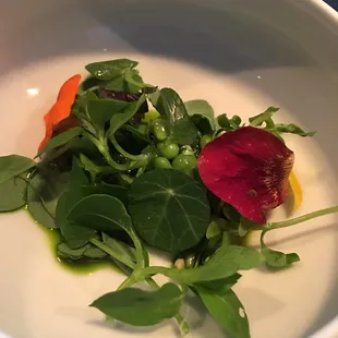 Green Garlic Egg Drop Soup