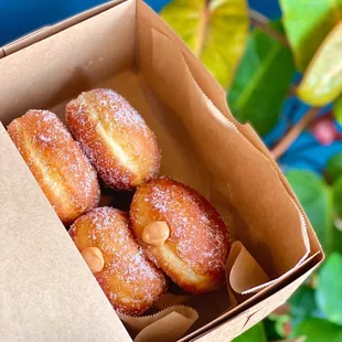 malasadas: guava x2, haupia (coconut pudding) x2 (05/2023)