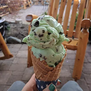 Waffle cone plus mint chocolate chip