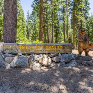 Welcome to Pinecrest Chalet, your home under the pines!