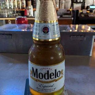 a bottle of modelo