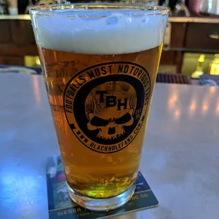 Space Dust IPA, Elysian Brewing
