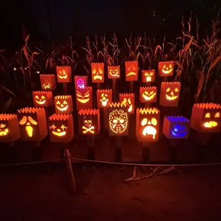 Pumpkin bags at the start of the trail