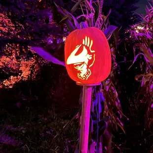 Beetle juice character