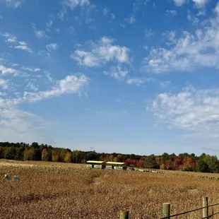 View toward pumpkin patch from playground