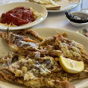 Soft Shell Crabs In Season