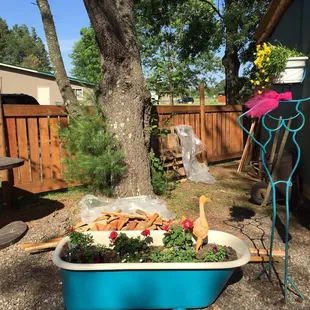 an old bathtub with flowers in it