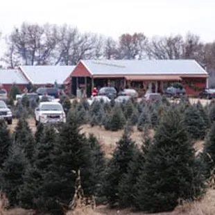 Entering the farm during the Christmas season