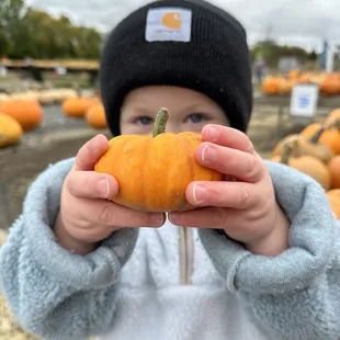 Look Mom "baby pumpkin"