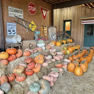 Pumpkins for sale