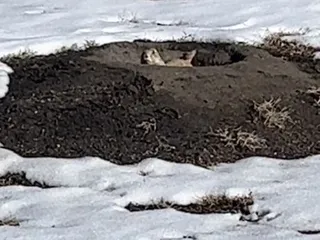 Parker Jordan Centennial Open Space