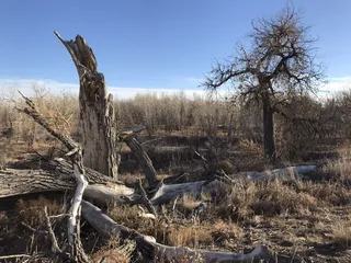 Star K Ranch Open Space