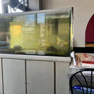 a fish tank