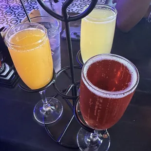 Mimosa flight (poinsettia, tropical, mango)