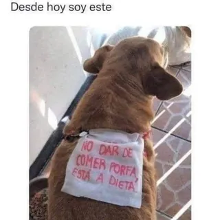 Carlos R.