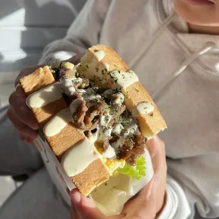 Beef sandwich w/o cheese