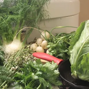 A spring vegetable delivery