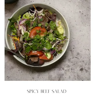 Spicy Beef Salad