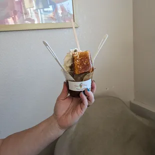 Ice cream with a roasted marshmallow