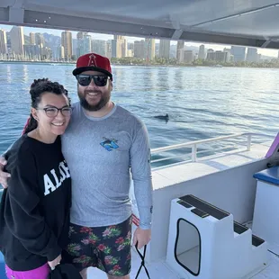 Dolphins in the winter