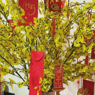 The Lunar New Year decorations