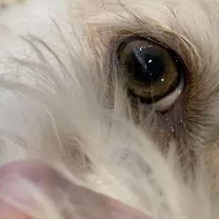 Rosie's Eye after a visit