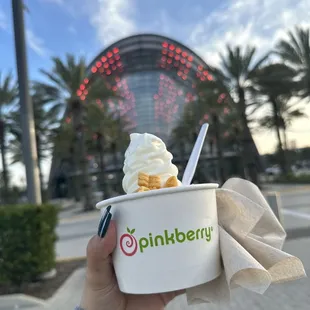 Frozen Yogurt with Toppings