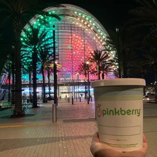 Take Home Yogurt  summer 2020