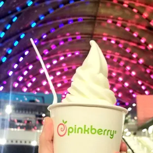 Frozen Yogurt without Toppings 10/10