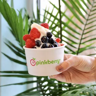 pinkberry norman frozen yogurt