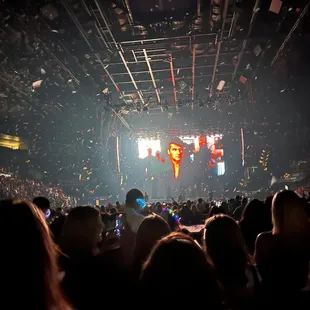 a large crowd of people at a concert