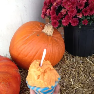 Pumkin gelato