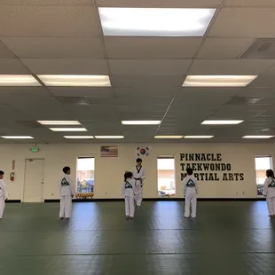 Pinnacle Taekwondo Martial Arts!