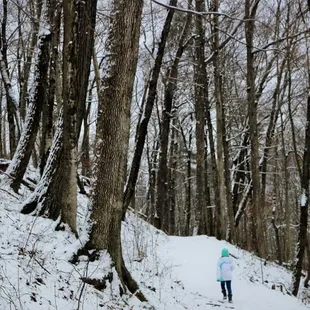 East Pinnacle- Winter