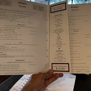 a hand holding a menu in front of a window
