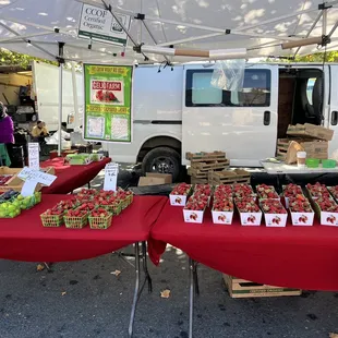 Strawberries