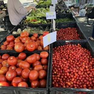 Tomatoes