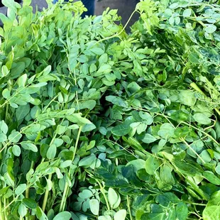 Malungay (Tagalog) Marungay (Ilocano) Moringa (English)