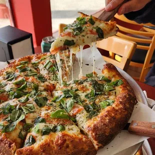 Margherita on thick crust