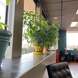 Piñon Coffee House