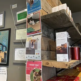 a display of dog food