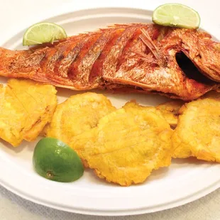 grilled fish, food