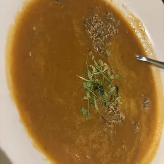 Soup of the Day